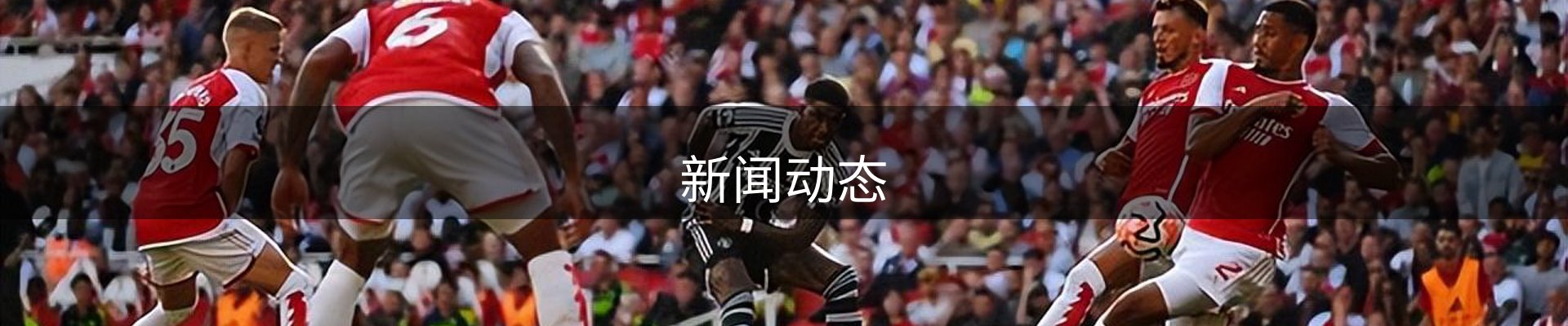 新闻动态